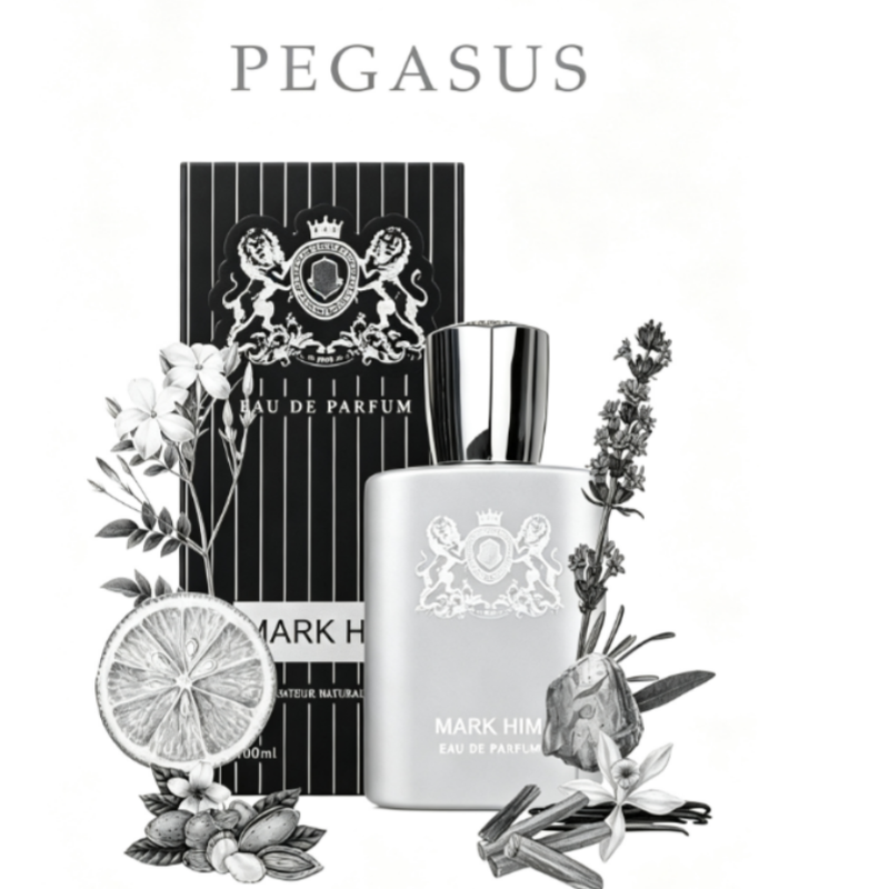 100ml 마크 히 남성 향수, 오래 지속되는 마그네틱 - Perfume Fragrance Tous 리뷰 및 가격