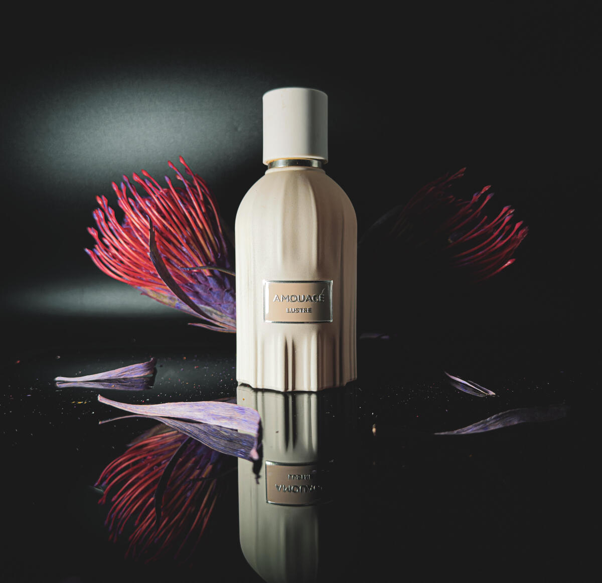 아무아쥬 러스트 향수 100ml 럭셔리하고 우아한 파우 - Perfume Fragrance Details 리뷰 및 가격