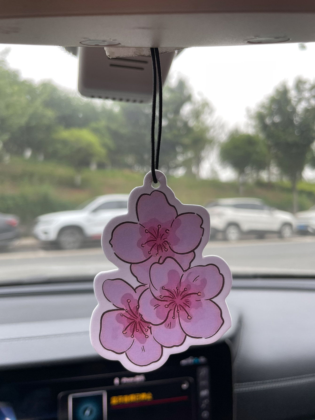 사쿠라/프리지아 프레쉬 향 5성급 중성 자동차 방향제  - Perfume Fragrance Type 리뷰 및 가격