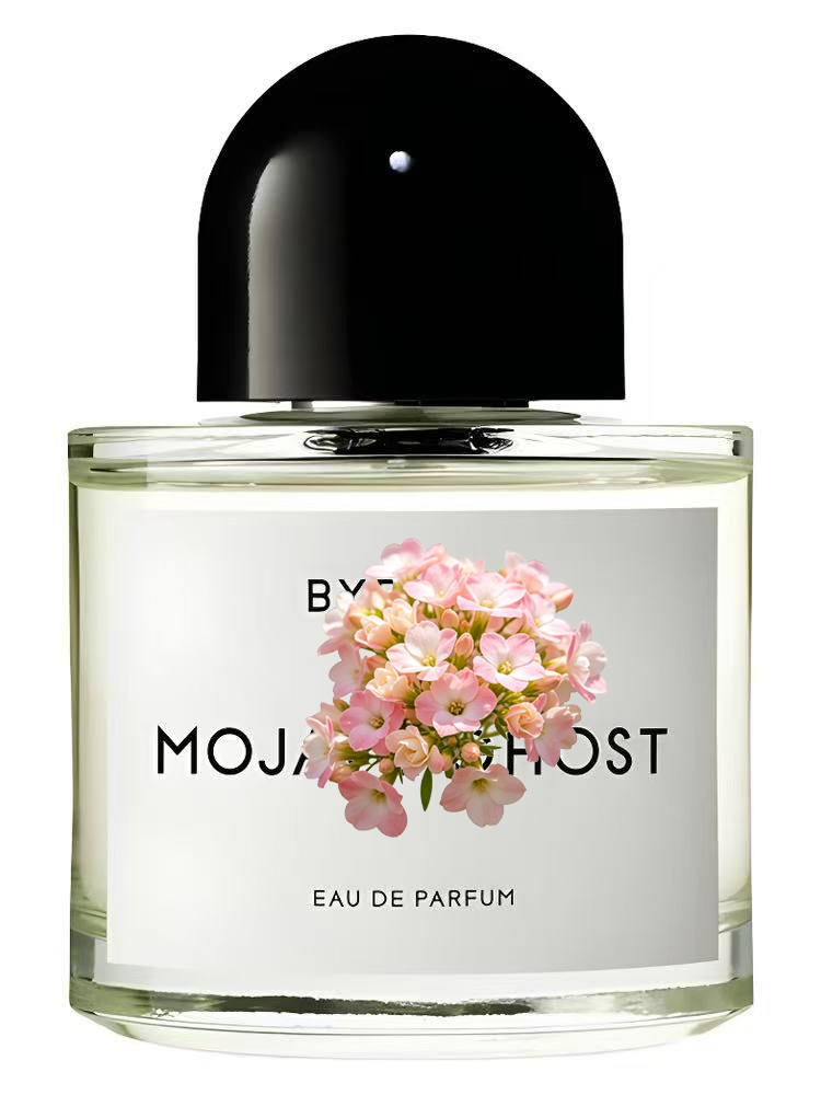 유니섹스 오 드 퍼퓸 100ml 3.4 fl.oz 럭셔 - Perfume Fragrance Couture 리뷰 및 가격